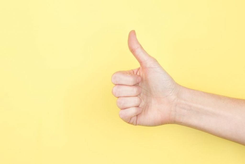 Five Reasons to Try a Mud Wrestling Show